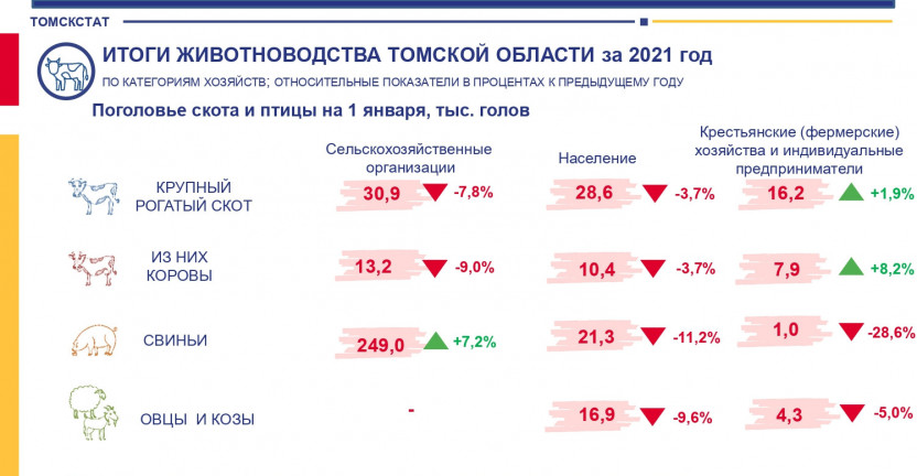 Итоги животноводства Томской области за 2021 год